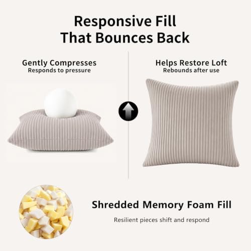 2 Pack 18 x 18 Decorative Throw Pillows with Insert Included
