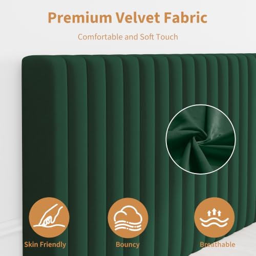 GAOMON King Bed Frame with Adjustable Headboard, Velvet Upholstered Platform King Size Bed Frame, Vertical Channel Tufted, Strong Wooden Slats, No Box Spring Needed, Easy Assembly, Green