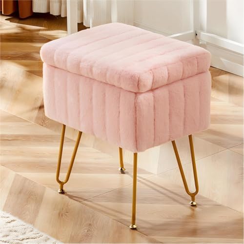 DUMOS Vanity Stool Chair, Ottoman with Storage for Living Room, Bedroom