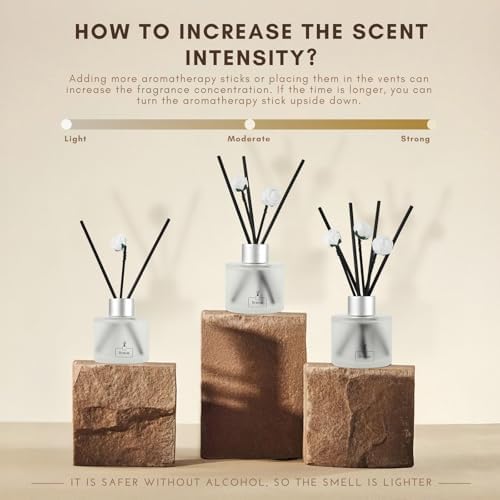 Brakula 2 Pack Reed Diffuser Set, Eucalyptus & Mint Scent, 6.76 fl oz