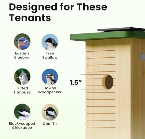 Birdfy Smart Bird House with Camera Solar Powered, 1080HD Live Video & Night Vision for 24/7 Nesting Recording, Auto Detect & Notify, Ideal Nature Gift for Bird Lovers, AI Identify Lifetime Free