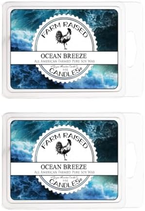 Ocean Breeze Wax Melts, 2 Pack Soy Cubes
