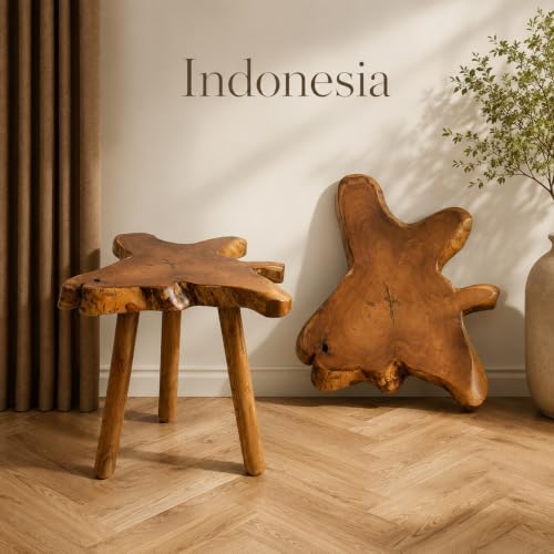 Teak Side Table, Live Edge End Table, Solid Wood Side Table for Living Room, Bedroom, Patio, Plant Stand, Tree Stump Style Natural Wood Accent Table