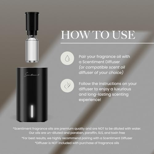 Scentiment Fall Diffuser Oil Set – 3 Autumn Scents (20 mL Each) | Sweet Autumn (Vanilla & Spiced Leaves), Pumpkin Spice (Cinnamon & Clove), Roasted Pine Cone (Smoky Wood & Pine), Fragrance Oil