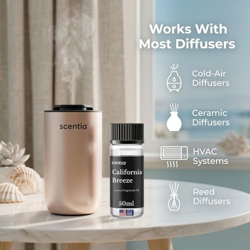California Breeze Diffuser Oil Inspired By Delano Hotel, 50 mL