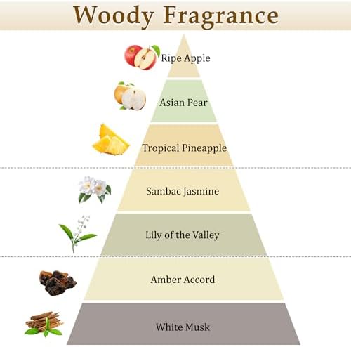 XEPTLE White Musk Reed Diffuser, Apple Pear Jasmine with Musk & Ambergris, Home Fragrance Diffuser with 5 Reeds, Air Freshener for Bedroom Living Room Bathroom Décor, 7.04oz, White