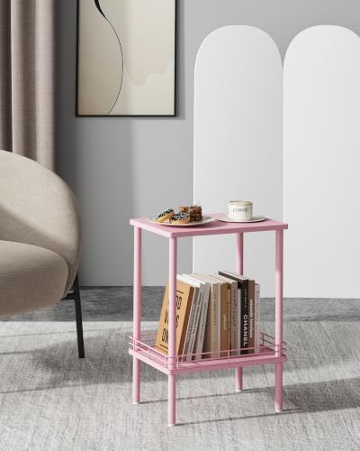 DGSANDGO Modern Small Side Table with Storage, 2-Tier Pink End Table
