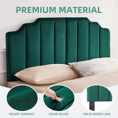 Headboard Queen Elegantly Curved Soft Padded Queen Headboard Only