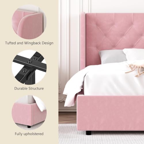 HOMBCK Full Size Bed Frame with Velvet Upholstered Headboard, Pink