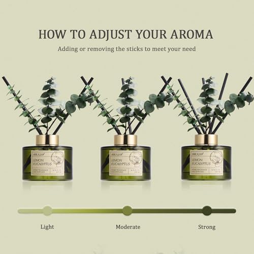 Airkeep Reed Diffuser Set with 6.76 fl oz Lemon Eucalyptus Scent Essential Oils and 3 Leaves & 8 Diffuser Sticks,Bathroom Shelf Decor & Air Freshener, House Bedroom Office Decor & Gifts