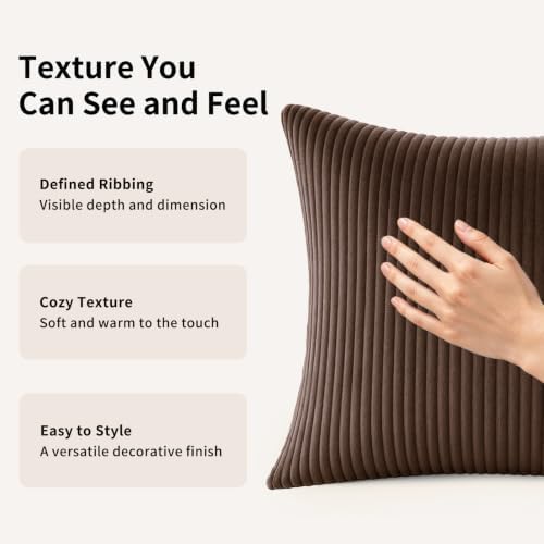 2 Pack 18 x 18 Decorative Throw Pillows with Insert Included