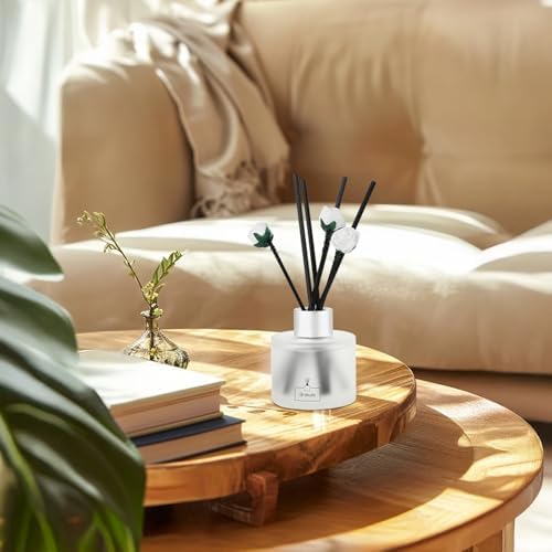 Brakula 2 Pack Reed Diffuser Set, Eucalyptus & Mint Scent, 6.76 fl oz