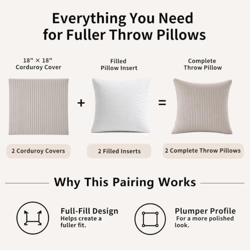 2 Pack 18 x 18 Decorative Throw Pillows with Insert Included