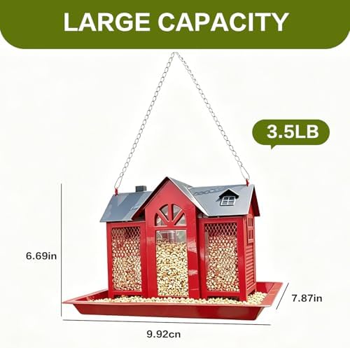 Large Metal Bird Feeders for Outdoors Hanging with Double Suet Cage Weatherproof Roof, 4 in 1 Suet Feeder for Woodpecker, 4 Lbs Capacity Bird Feeder House for Cardinal Finch Chickadee