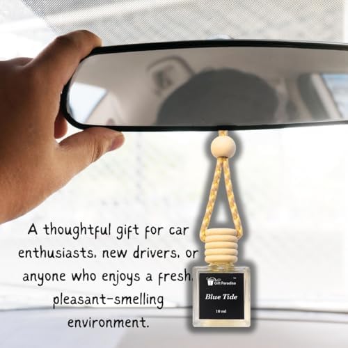 Blue Tide Car Air Freshener - setof 3 – Premium Hanging Velvet gift bag Diffuser with 10 ml each – Long Lasting Fresh Ocean Breeze Scent for Cars, Closets & Small Spaces