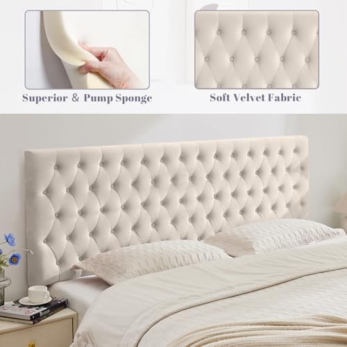 Kingfun Upholstered Queen Headboard Only, Premium Velvet Button Tufted Headboards, Adjustable Solid Wood Head Board, Padded Headboard with Solid Wood Legs in Bedroom (Beige)