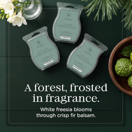 Scentsy Iced Balsam Wax Melts, 3 Pack, Paraffin, 7.8 Oz