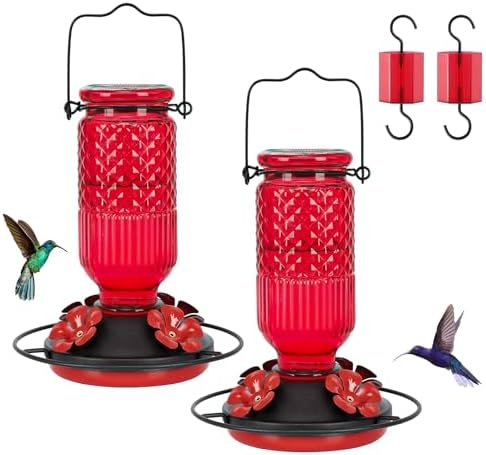 FEED GARDEN Glass Hummingbird Feeder for Outdoors, Leak-Resistant, 16 oz