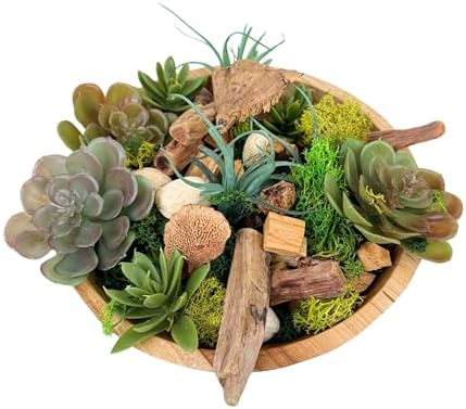 ANDALUCA Maison Box Fragrance Potpourri Decorative Succulent Moss Vase & Bowl Filler Home Décor (Moss Forest)