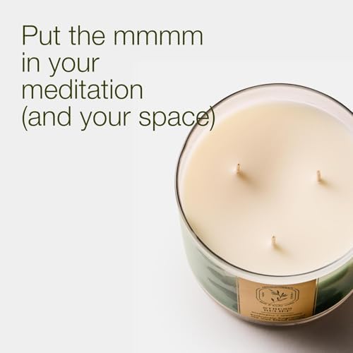 Bath & Body Works 3-Wick Candle, Eucalyptus Spearmint, 2 Pack