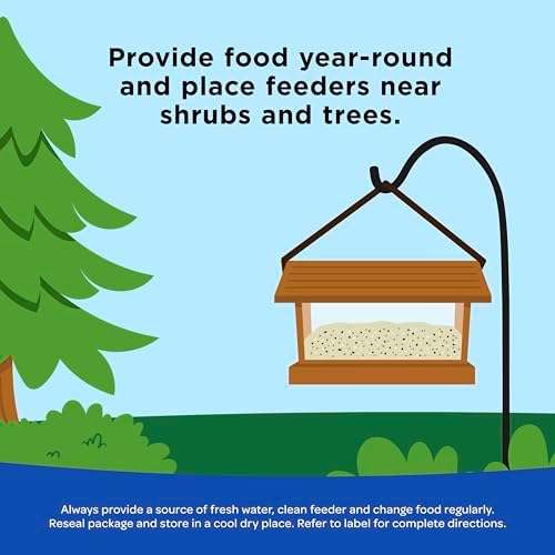 Kaytee Peanuts Wild Bird Food, High in Fat and Protein
