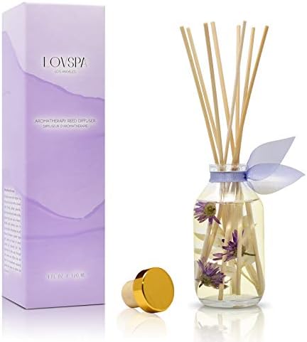 Reed Diffuser Set - Lavender Vanilla Scented Diffuser with Sticks