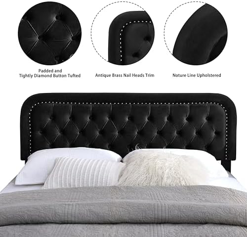 Tufted Upholstered Queen Size Headboard only - Button Solid Wood HeadBoards with Adjustable Height - Modern Velvet Padded Bed Headboard - Easy Assembly - Nailhead, Black
