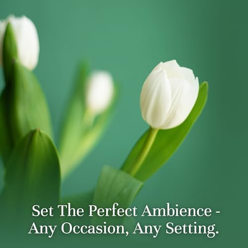P&J Trading Fragrance Oils for Diffusers for Home Spring Set Fragrance Scents for Candle Making - Soap Making - Car Diffuser Scents - Essential Home Gift Set - Cherry Blossom, Fresh Cut Grass & More