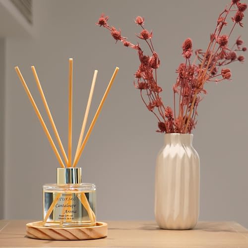 100ml Scent Diffuser with 6 Fiber Sticks, 3.5 oz Reed Diffuser Set Aromatherapy Fragrance Diffusers Air Fresheners for Home Bedroom Bathroom (Cantaloupe)