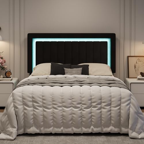 SHA CERLIN Queen Size Velvet Bed Frame with LED Light, Black