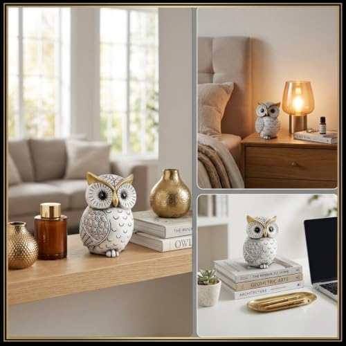 Smadeer Black and White Owl Statue, Small Resin Owl Boho Shelf Decor