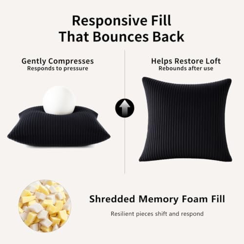 2 Pack 18 x 18 Decorative Throw Pillows with Insert Included