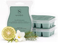 Scentsy Iced Balsam Wax Melts, 3 Pack, Paraffin, 7.8 Oz