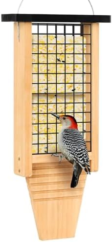 Gbekery Wooden Double Suet Feeder with Tail Prop for Outside, Black Roof