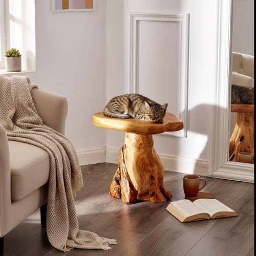 Cedar Wood Stump Mushroom Stool Live Edge Side Table 13.5"x12"x14"H