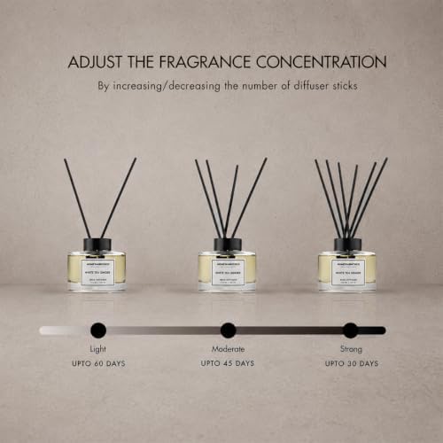 Clean Linen Reed Diffuser Set - Premium Fragrance Reed Diffuser for Home, Office, Bathroom & Kitchen, Long-Lasting Non-Toxic Essential Oil Diffuser, Home Décor, 5.63 oz (160ml)