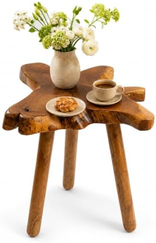 Teak Side Table, Live Edge End Table, Solid Wood Side Table for Living Room, Bedroom, Patio, Plant Stand, Tree Stump Style Natural Wood Accent Table