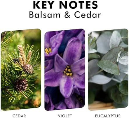 Xcleen Reed Diffusers for Home, Balsam & Cedar Diffuser with Sticks, 3.7 Oz Scented Fragrance Oil Diffuser for Bedroom, Bathroom Decor
