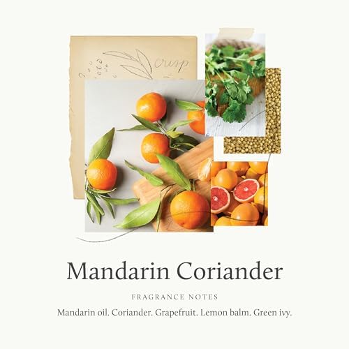 Thymes Mandarin Coriander Reed Diffuser Oil - Room Fragrance Oil - Flameless Home Fragrance7.75 Fl Oz