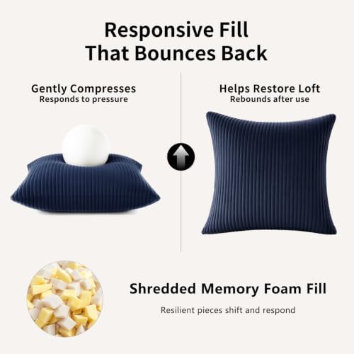 2 Pack 18 x 18 Decorative Throw Pillows with Insert Included