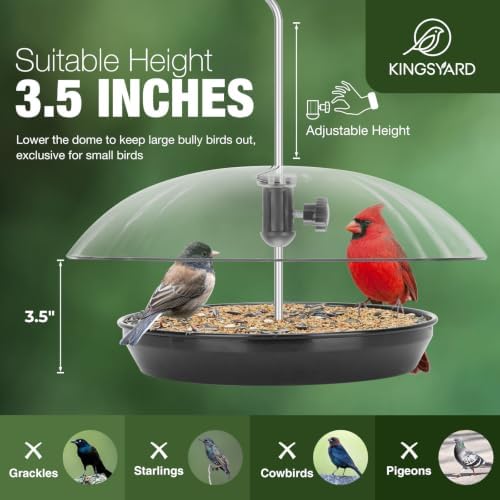 Kingsyard Platform Bird Feeder with Adjustable Dome for Outdoors Hanging