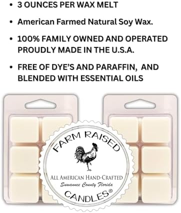 Eucalyptus Zen Soy Wax Melts, 2 Pack
