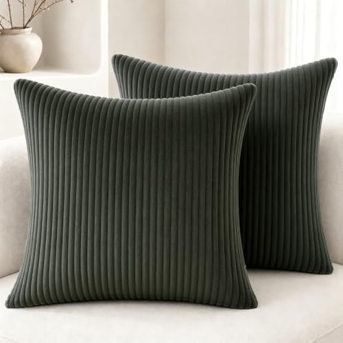 2 Pack 18 x 18 Decorative Throw Pillows with Insert Included