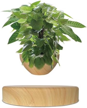 Floating Magnetic Levitating Flower Pot Bonsai Air Plant Pot Planter Potted for Home, Office & Desk Decor Gift