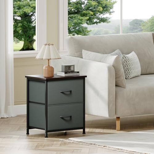 Somdot Night Stand with 2 Drawer, Small Nightstand End Table, Bedside Table
