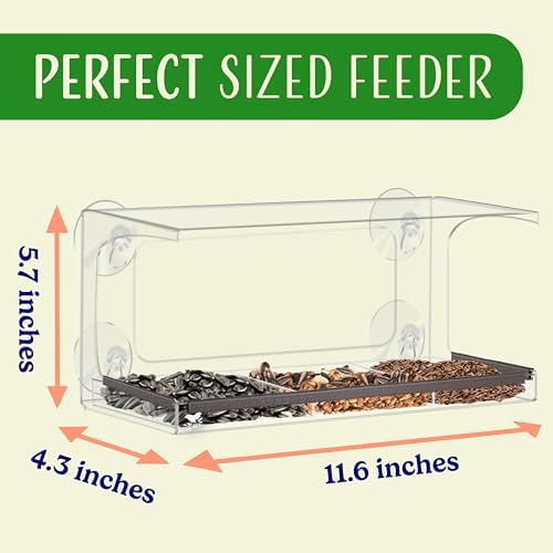 Long Style Bird Feeder with Hole