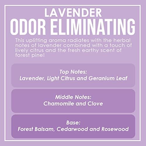 Lavender 2 Pack Odor Eliminating Highly Fragranced Candle - Eliminates 95% of Pet, Smoke, Food, and Other Smells Quickly - Up to 80 Hour Burn time - 12 Ounce Premium Soy Blend