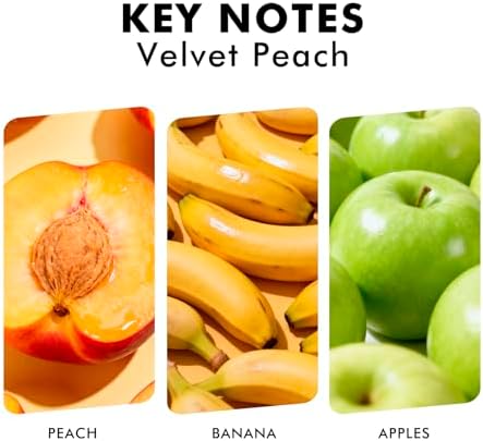 Xcleen Reed Diffuser Set, Velvet Peach Scent Fragrance Oil Diffuser, Reed Diffusers for Home, Bathroom Air Fresheners & Decor (Pack of 2)