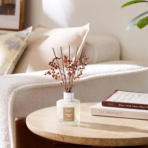 Airkeep Reed Diffuser Set,3.38 fl oz (100 ml) - Moroccan Amber Oil Diffusers with 8 Reed Sticks, Home Fragrance Reed Diffuser for Bathroom Shelf Decor