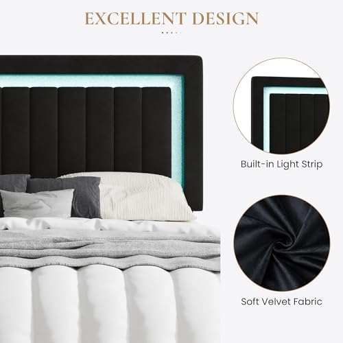 SHA CERLIN Queen Size Velvet Bed Frame with LED Light, Black